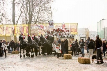 B Gli Aranceri Del Centro Storico